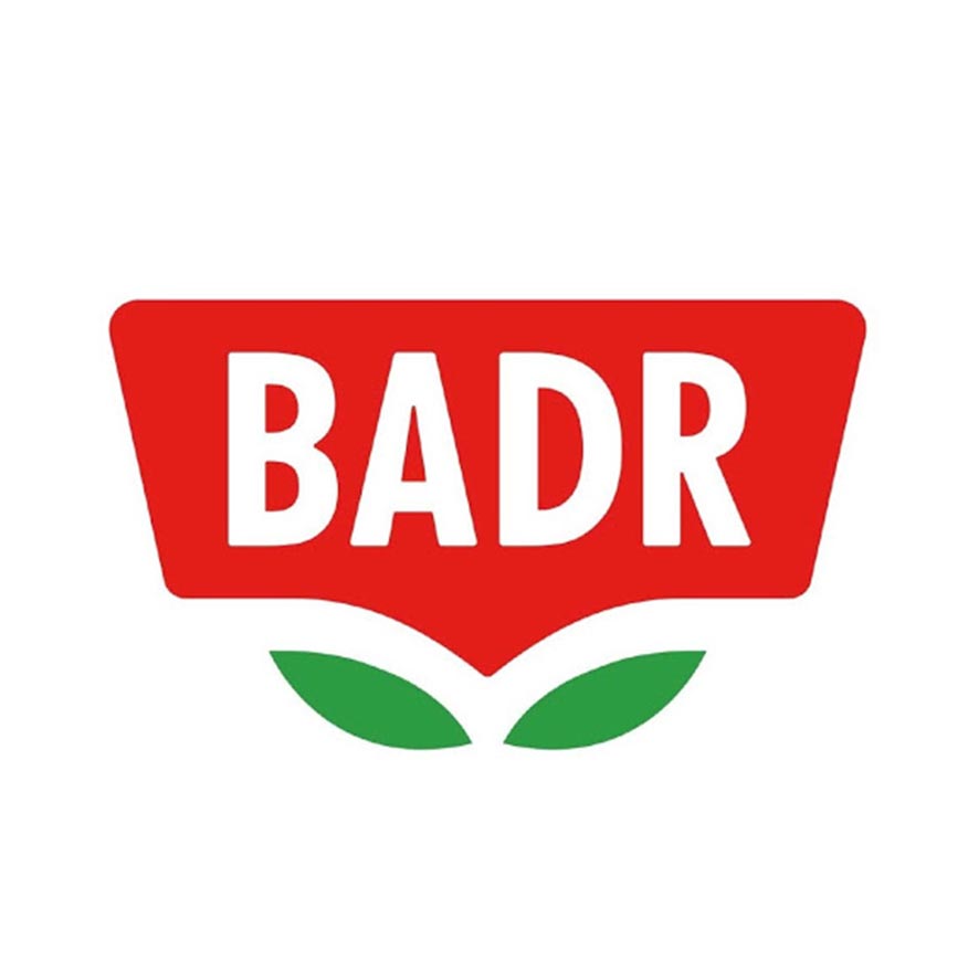 بدر در کارافن